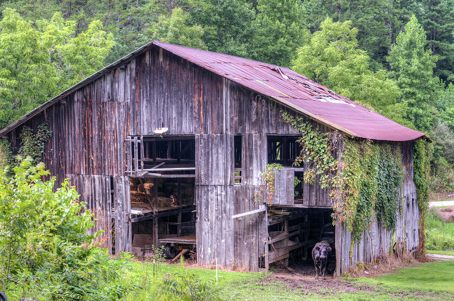 Peaceful Barn in Morgan County Kentucky Photograph by Douglas Barnett