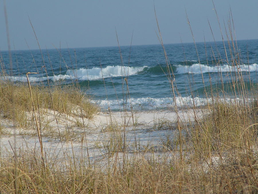 Peaceful  Beach Shoreline Photograph by Patty Vicknair