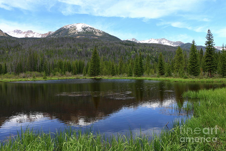 Peaceful Beaver Ponds View Photograph by Christiane Schulze Art And Photography