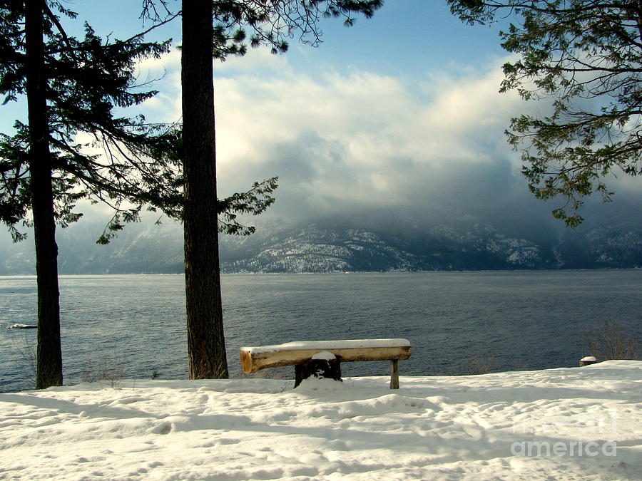Peaceful Bench Photograph by Leone Lund