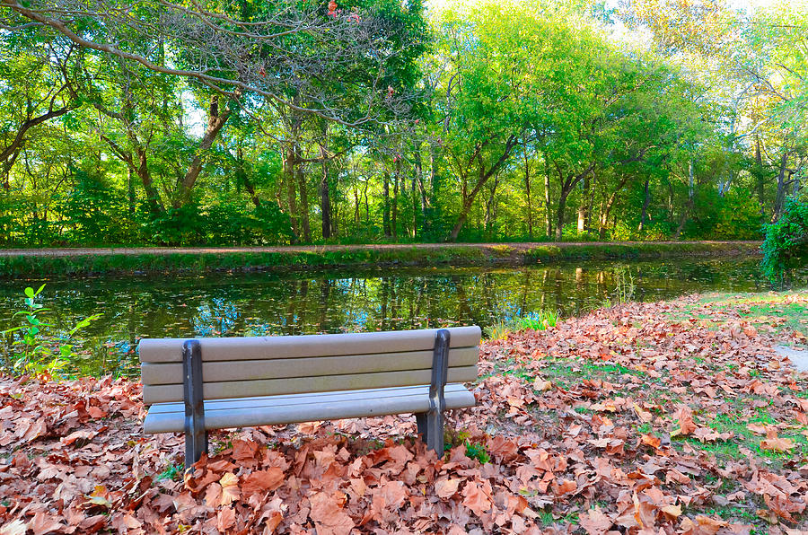 Peaceful Bench on C and O Canal Photograph by Jeff at JSJ Photography