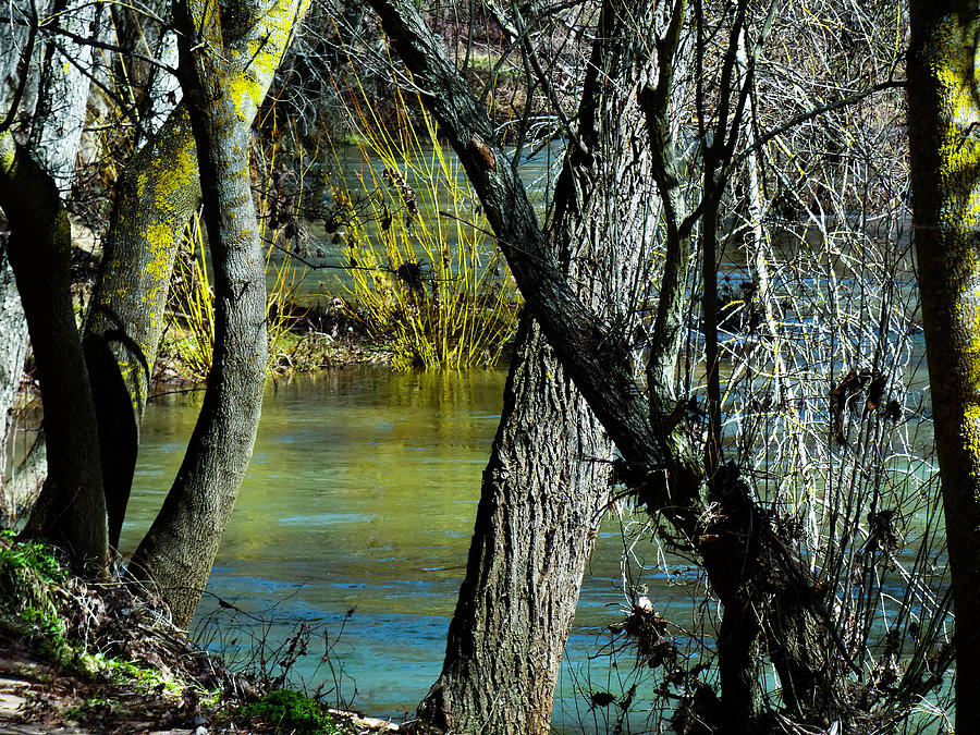 Peaceful Blue Green Brook Photograph by Alan Socolik