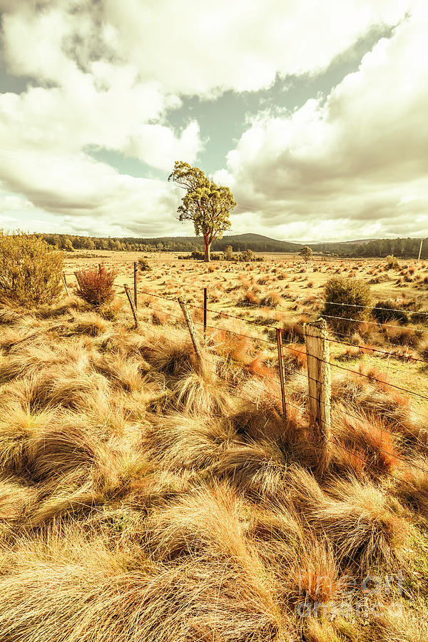 Peaceful country plains Photograph by Jorgo Photography