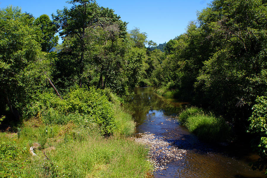 Peaceful Creek in Oregon Photograph by Ben Upham III