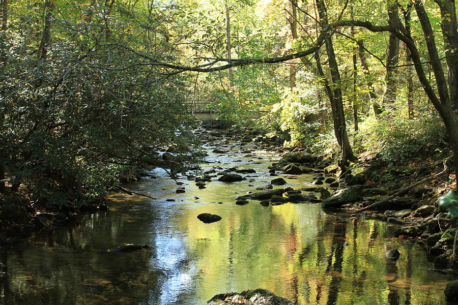 Peaceful Creek Photograph by Karen Ruhl