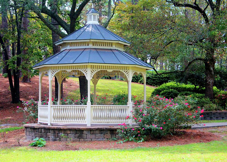 Peaceful Day At The Park Photograph by Cynthia Guinn