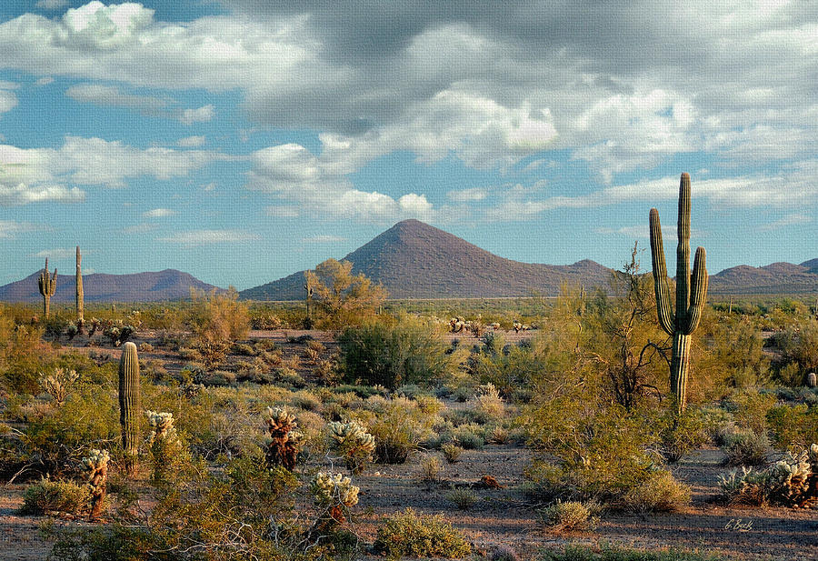 Phoenix Photograph - Peaceful Desert by Gordon Beck