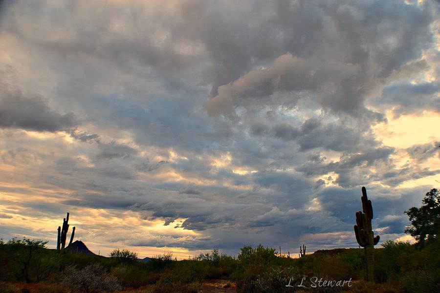 Peaceful Desert Photograph by L L Stewart