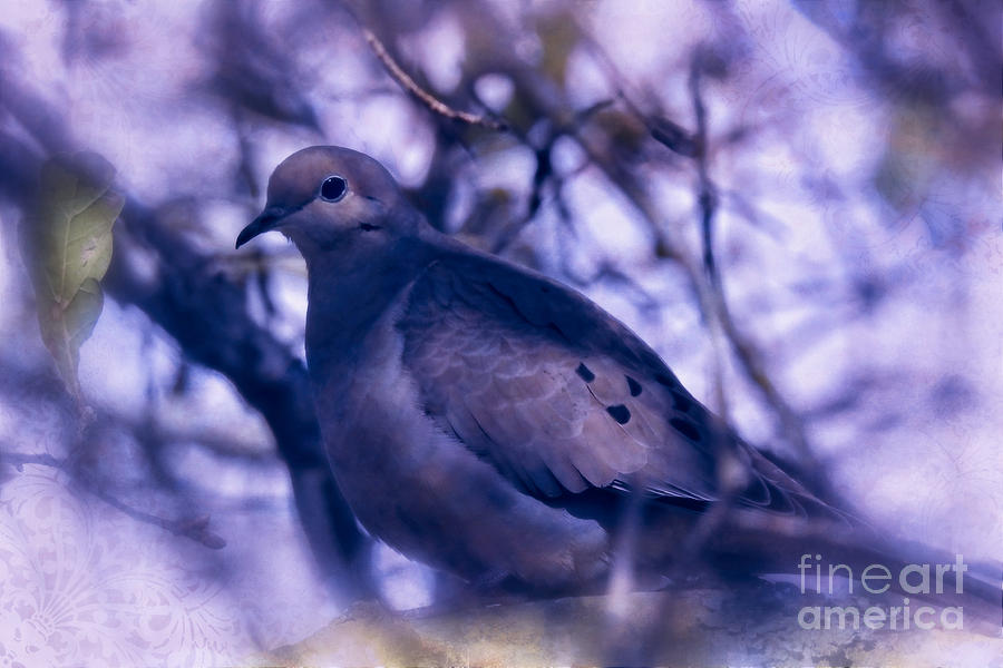Peaceful Dove Pyrography by Ella Kaye Dickey