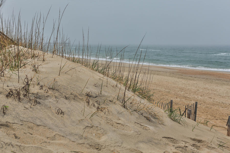 Peaceful Dunes Photograph by Jimmy McDonald