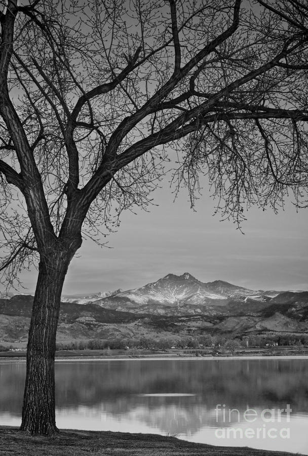 Peaceful Early Morning Sunrise Longs Peak View BW Photograph by James BO Insogna