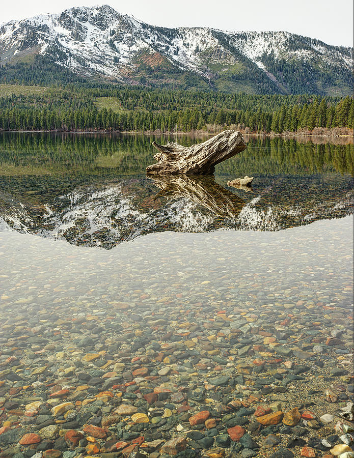 Reflection Photograph - Peaceful Easy Feeling by Dennis Bolton Reflection Photograph - Peaceful Easy Feeling by Dennis Bolton