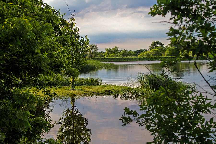 Peaceful Evening Photograph by Alana Thrower