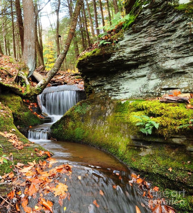 Peaceful Flow Photograph by Scott Hafer