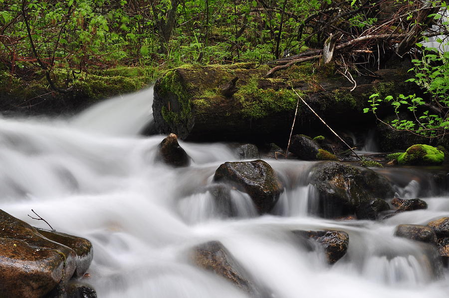 Peaceful Flowing Photograph by Jedediah Hohf