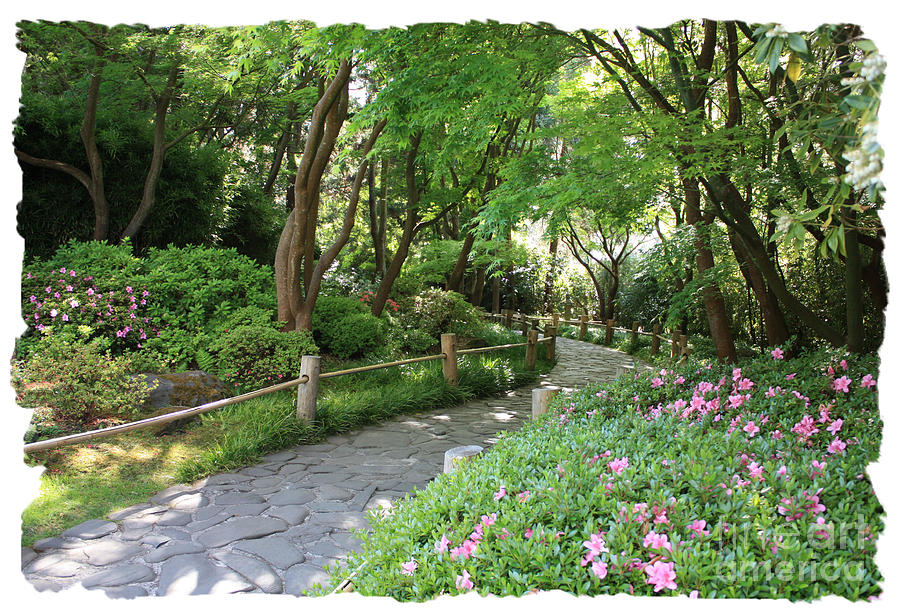 Peaceful Garden Path with White Framing Photograph by Carol Groenen