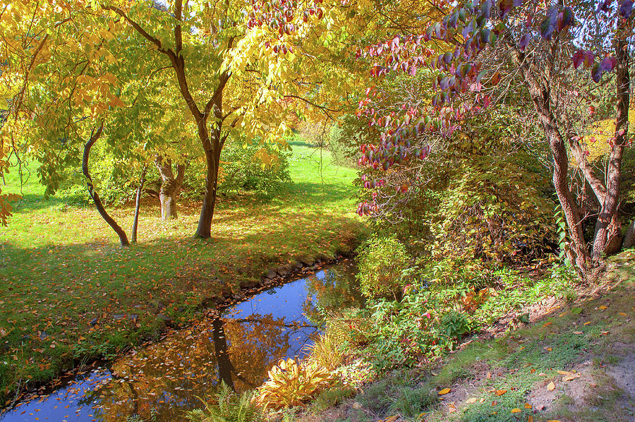Peaceful Golden Autumn  Photograph by Jenny Rainbow