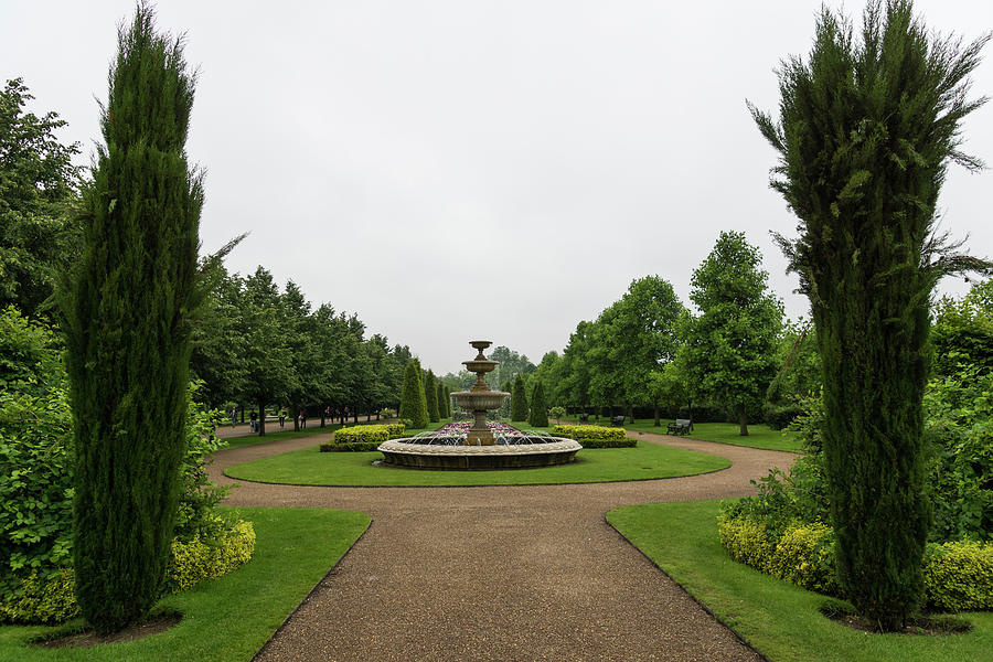 Peaceful Gray Symmetry - a Rainy Day in Regents Park London U K Photograph by Georgia Mizuleva