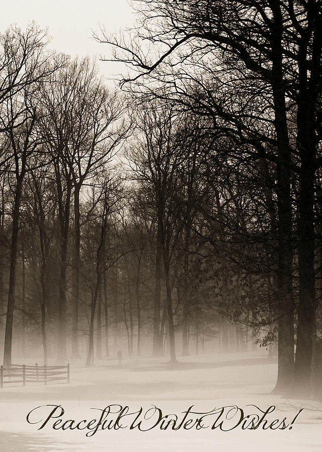 Tree Photograph - Peaceful Hazy Shade of Winter by Dark Whimsy