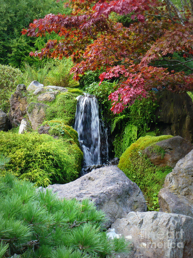 Peaceful Japanese Garden Pond Photograph by Carol Groenen