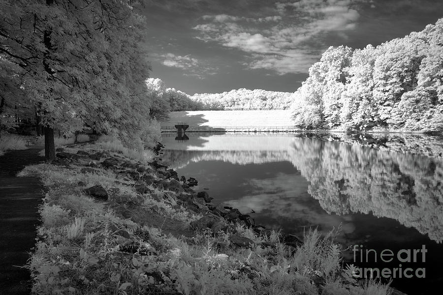 Peaceful lake Photograph by Izet Kapetanovic
