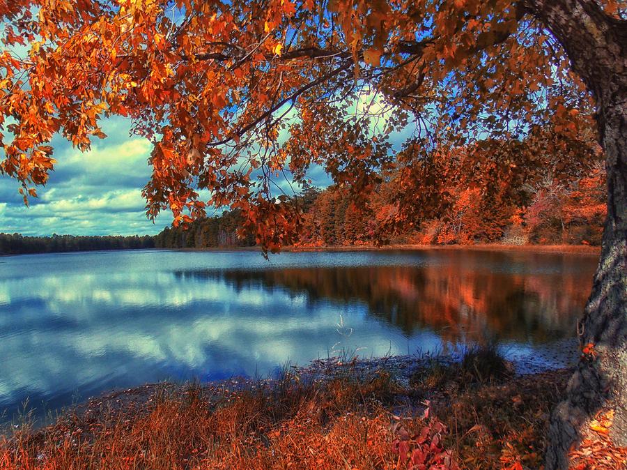 Peaceful Lake View Photograph by Bill Wranich - Fine Art America