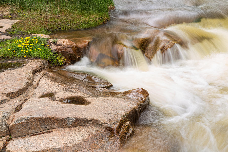 Peaceful Lefthand Rocky Mountain Stream Photograph