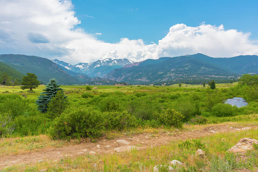 Peaceful Meadow by Tom Potter Peaceful Meadow by Tom Potter