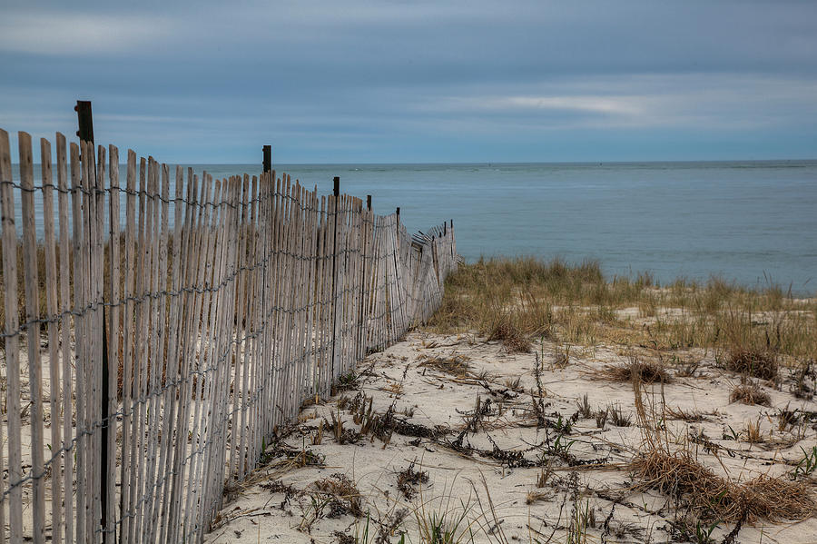 Peaceful morning at the beach Photograph by Steve Gravano