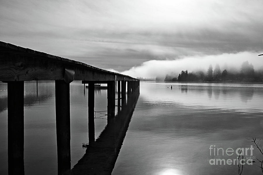 Peaceful Morning in BW Photograph by Cheryl Rose