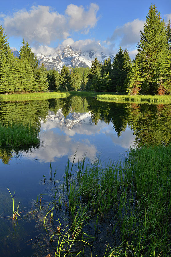 Peaceful Morning in Grand Teton NP Photograph by Ray Mathis