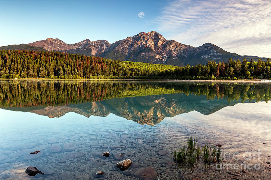 Peaceful Morning, Patricia Lake Photograph