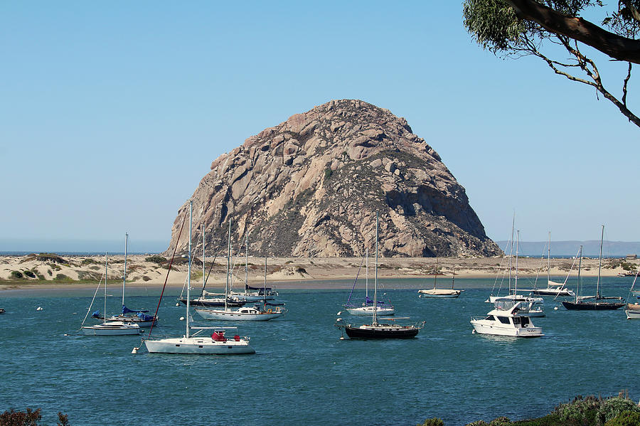 Peaceful Morro Bay Photograph by Art Block Collections