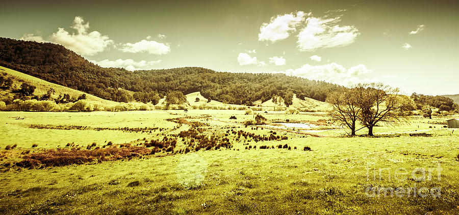 Peaceful panoramic pasture Photograph by Jorgo Photography
