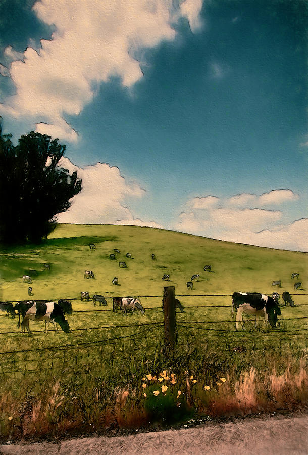 Peaceful Pasture Photograph By John K Woodruff Fine Art America