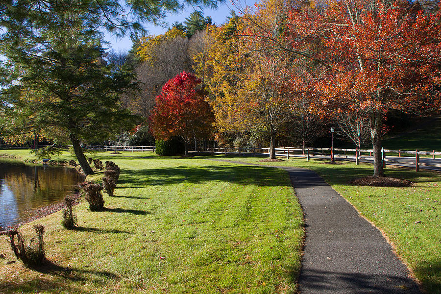 Peaceful path Photograph by Arnold Hence Peaceful path Photograph by Arnold Hence