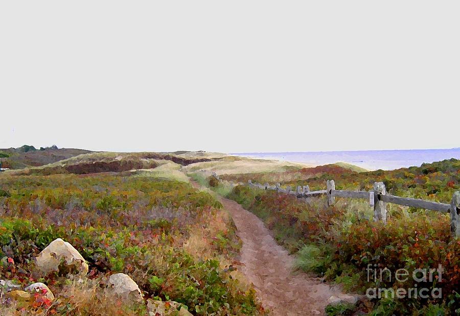 Peaceful Path Photograph by Susan Strickland - Fine Art America