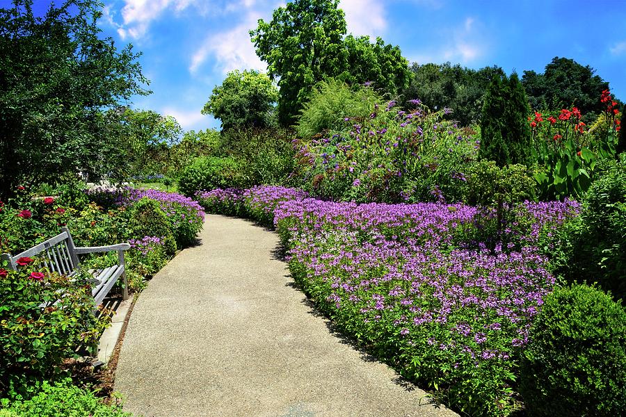Peaceful Pathway at Huntington Gardens Photograph by Lynn Bauer