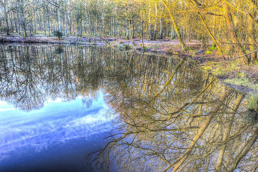 Peaceful Pond Reflections  Photograph by David Pyatt
