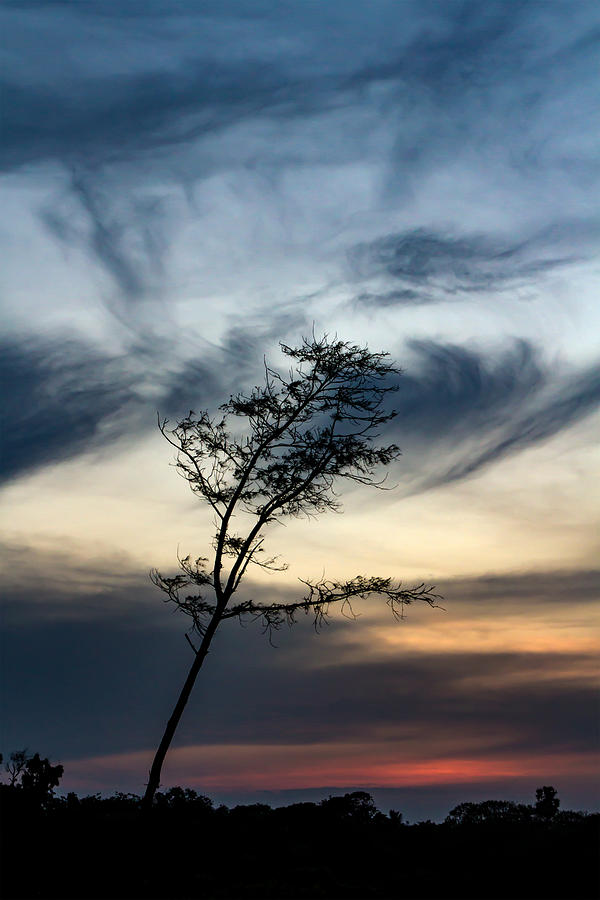 Sunset Photograph - Peaceful  by Ramabhadran Thirupattur
