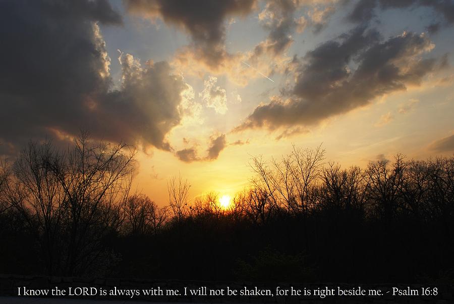 Tree Photograph - Peaceful Sunset with Psalm 16-8 Scripture by Matt Quest