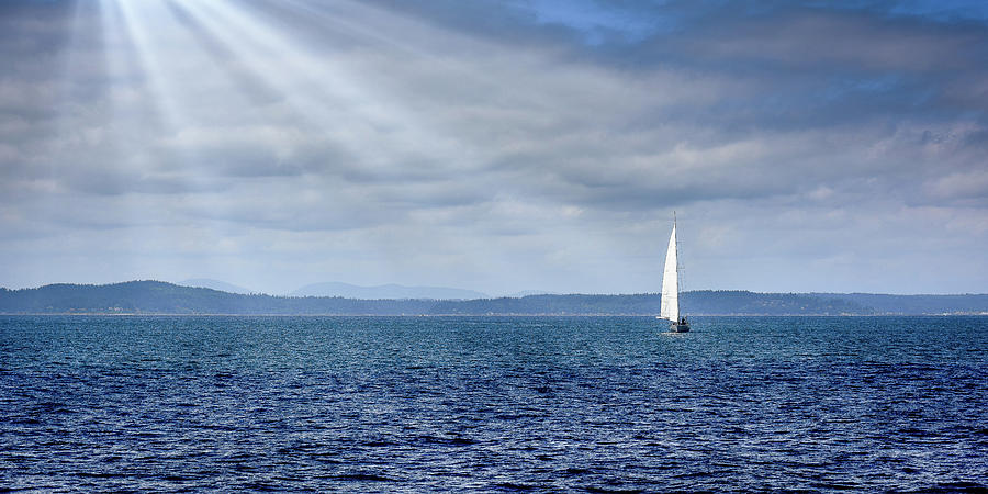 peaceful fish yacht