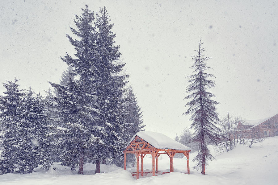 Peaceful Snowy Day Photograph by Svetlana Sewell - Fine Art America