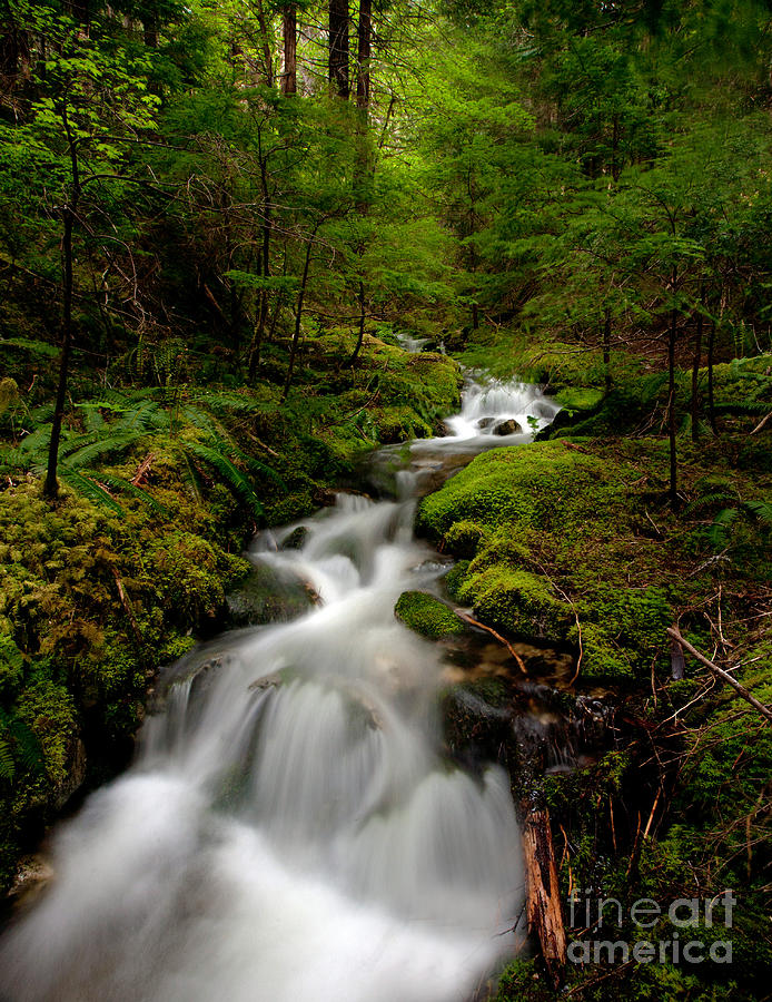 Peaceful Stream Photograph by Mike Reid - Fine Art America