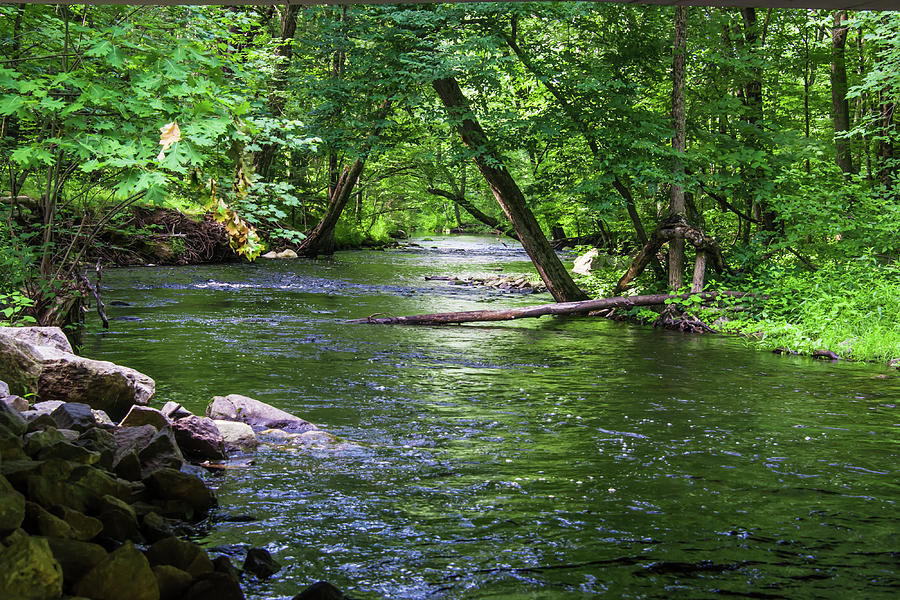 Peaceful Streams {Tote Bag}