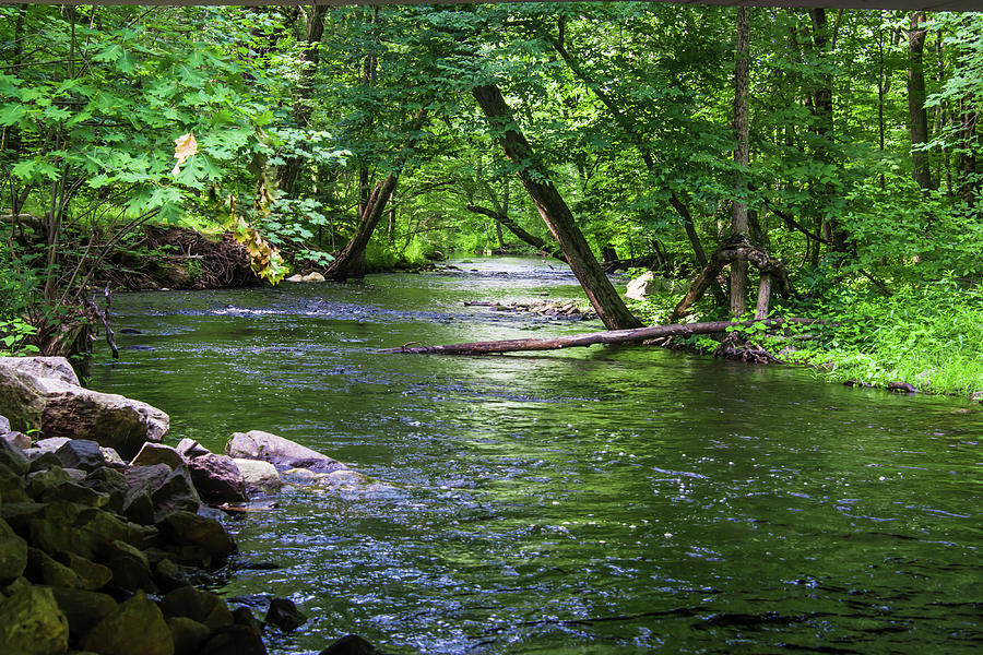 Peaceful Stream Photograph by Robert McKay Jones