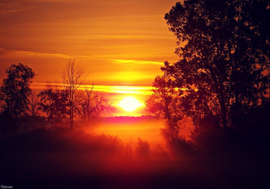 Nature Photograph - Peaceful Sunrise  by Belinda Olivastri