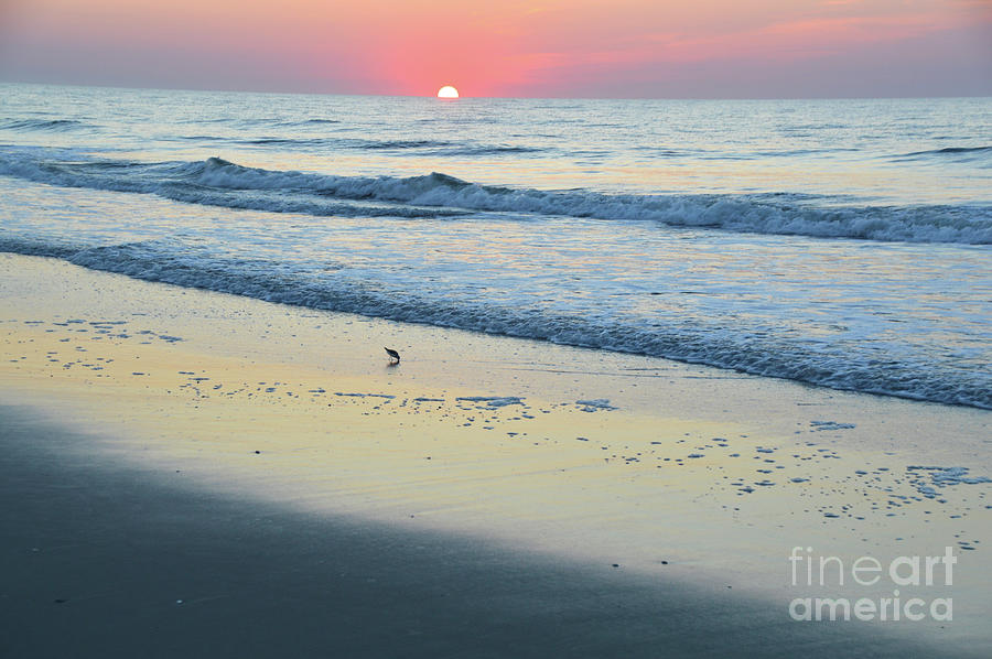Summer Photograph - Peaceful Sunrise - Sea Isle N.J. by Robyn King