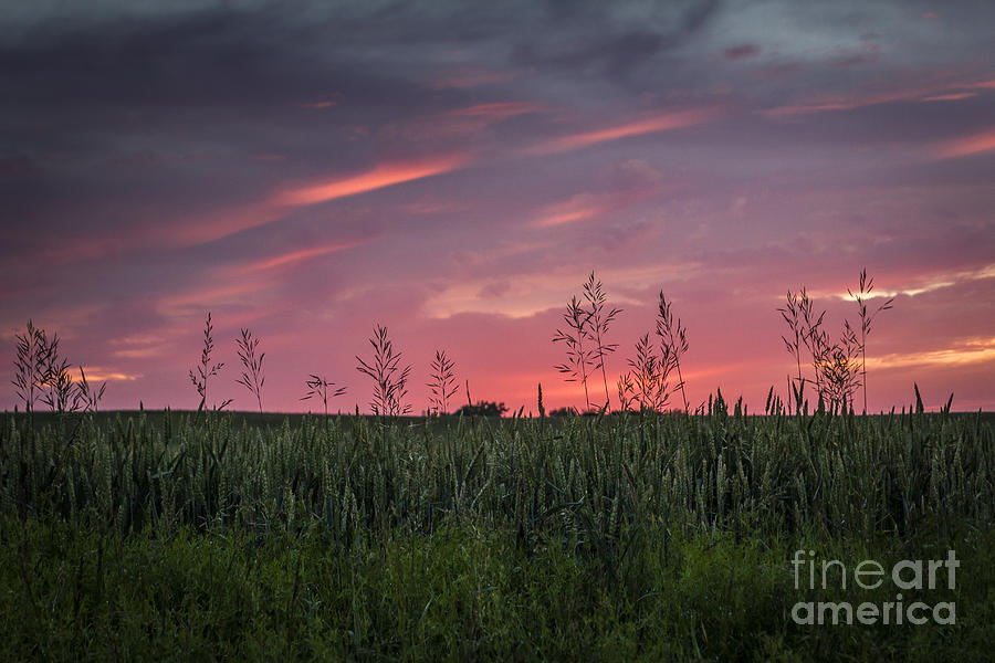 Peaceful Sunset Photograph by Joann Long