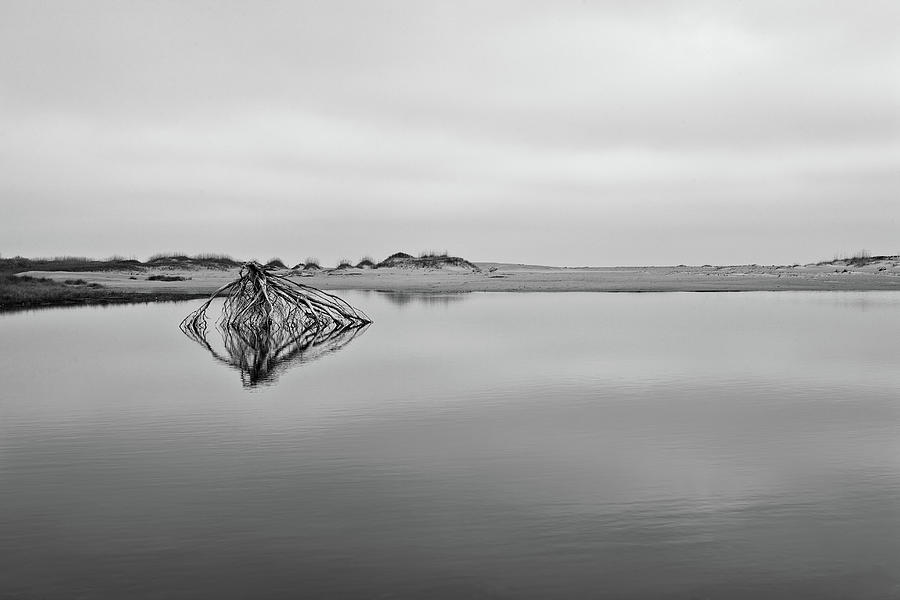 Peaceful Tidepool on the Outer Banks BW Photograph by Dan Carmichael